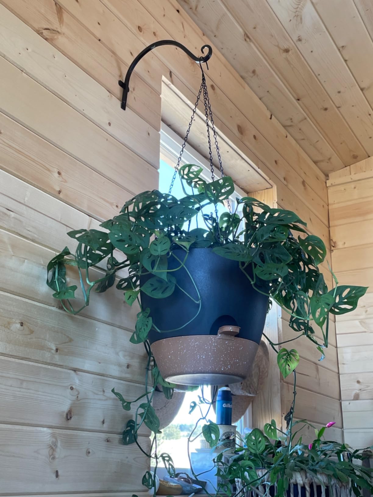 Vanslogreen Hanging Planters for Indoor Outdoor Plants, 2 Pack Self Watering Hanging Pot with Drainage Holes & Removable Tray (Black, 10'') customer photo 2