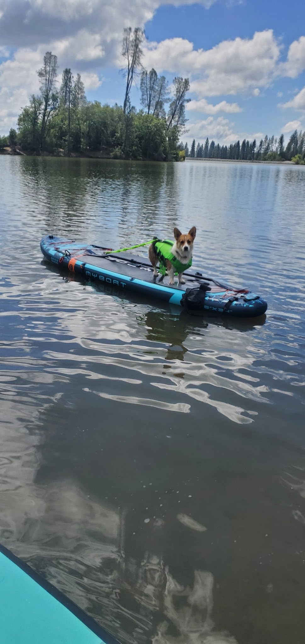 ASENKU Dog Life Jacket, High-Buoyancy Reflective Dog Swimming Vest with Durable Handles for Small/Medium/Large Dogs - Pool, Beach, Boating (Green, XL) customer photo 1