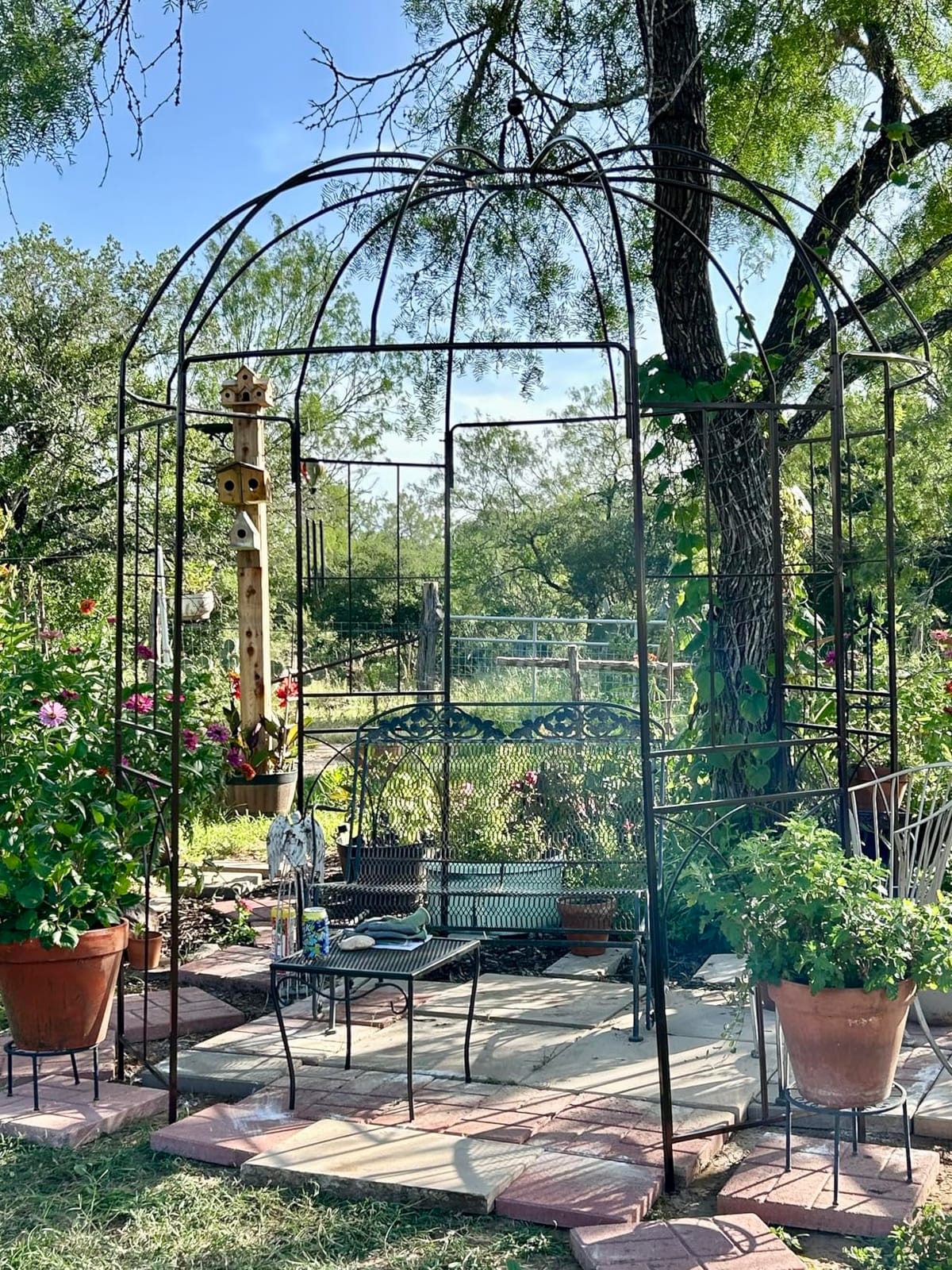 HAPPYGRILL 8.4 FT Birdcage Shape Garden Arbor with Trellis | Heavy Duty Metal Garden Gazebo Pergola for Wedding Party Lawn, Outdoor Garden Arch Trellis Pavilion for Climbing Plants customer photo 2