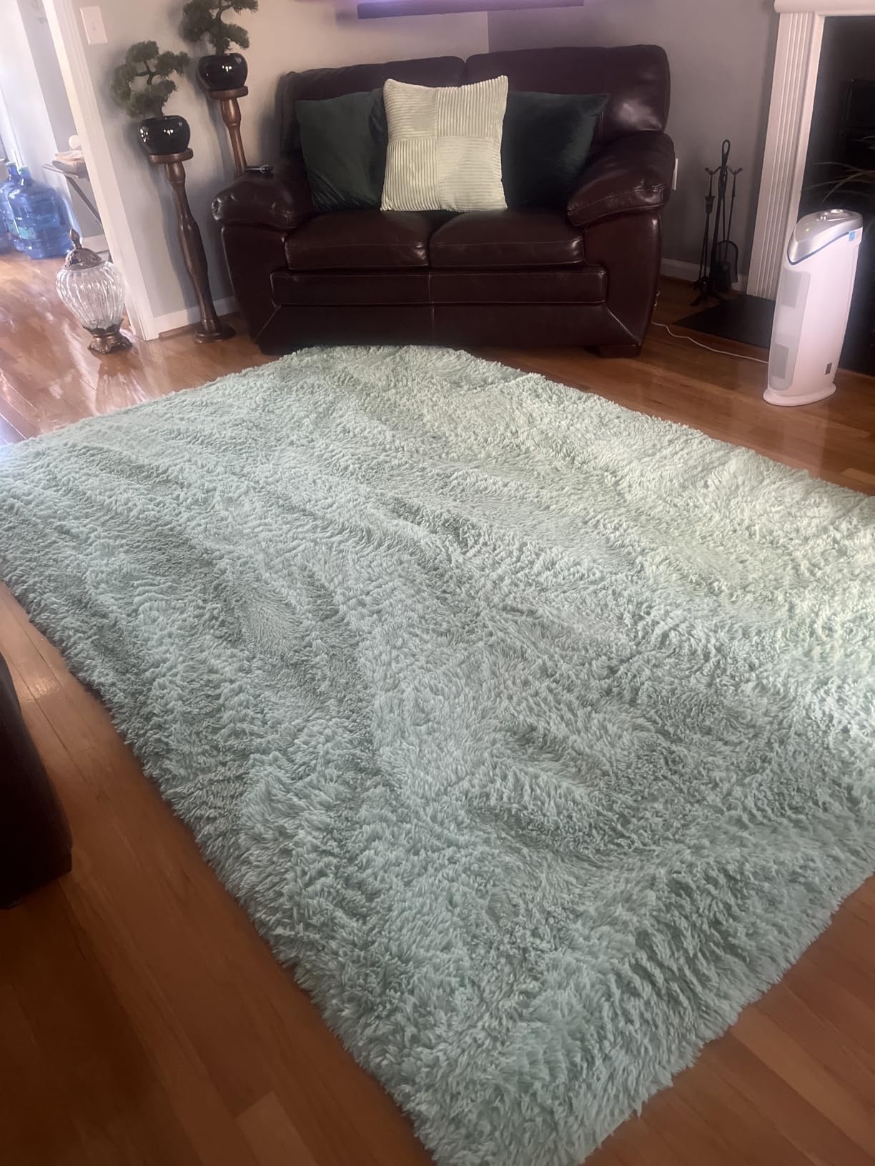 Sage Green Runner Area Rugs for Bedroom Living Room, 2x4 Feet Fluffy Bedside Rugs, Soft Shaggy Carpet Rug for Kids Room Nursery, Furry Rugs for Girls Boys Dorm Room Home Decor customer photo 2