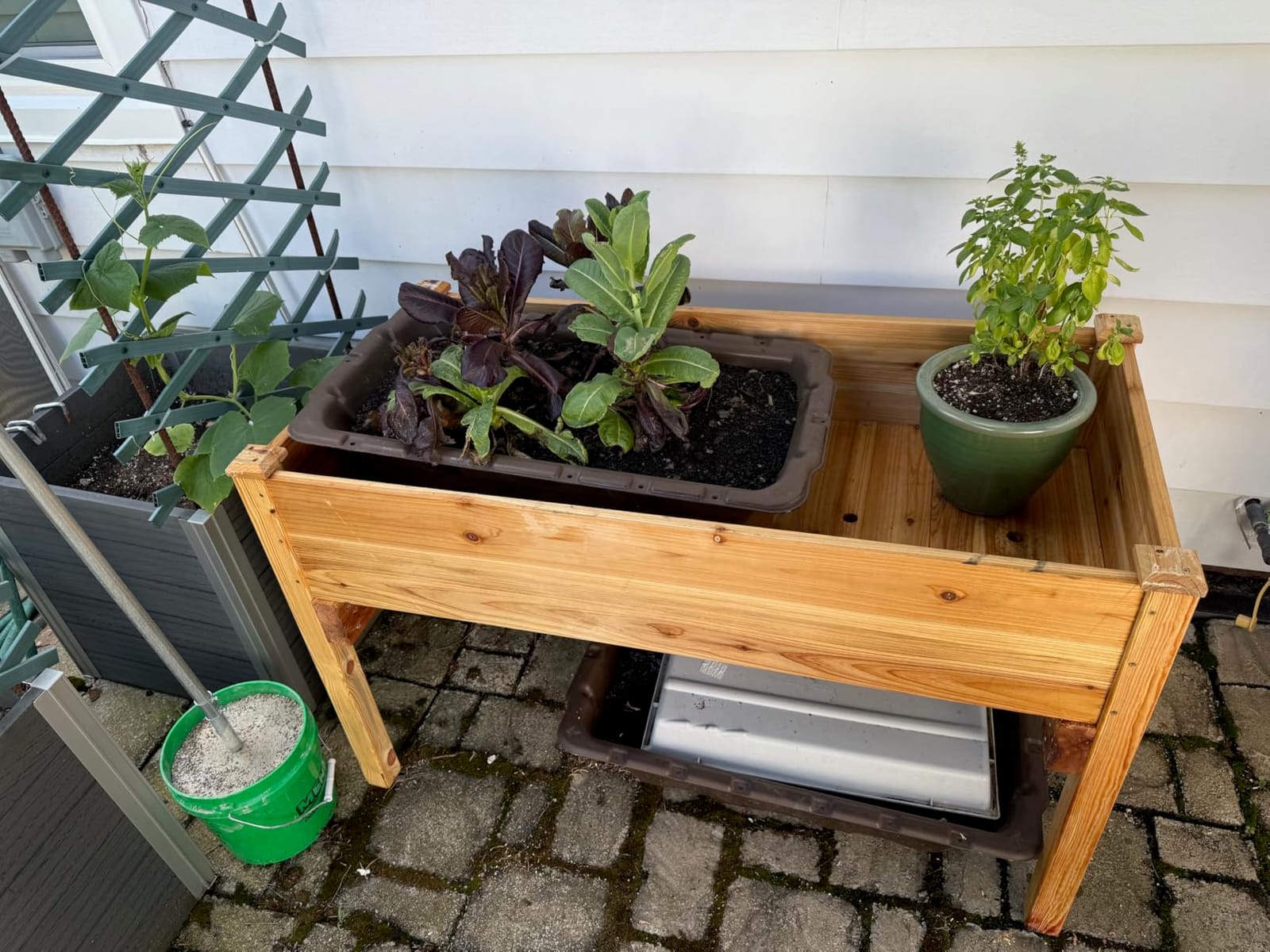 Cedar Raised Garden Bed with Legs, Outdoor Planter Box 48x24x30, 200lb customer photo 1