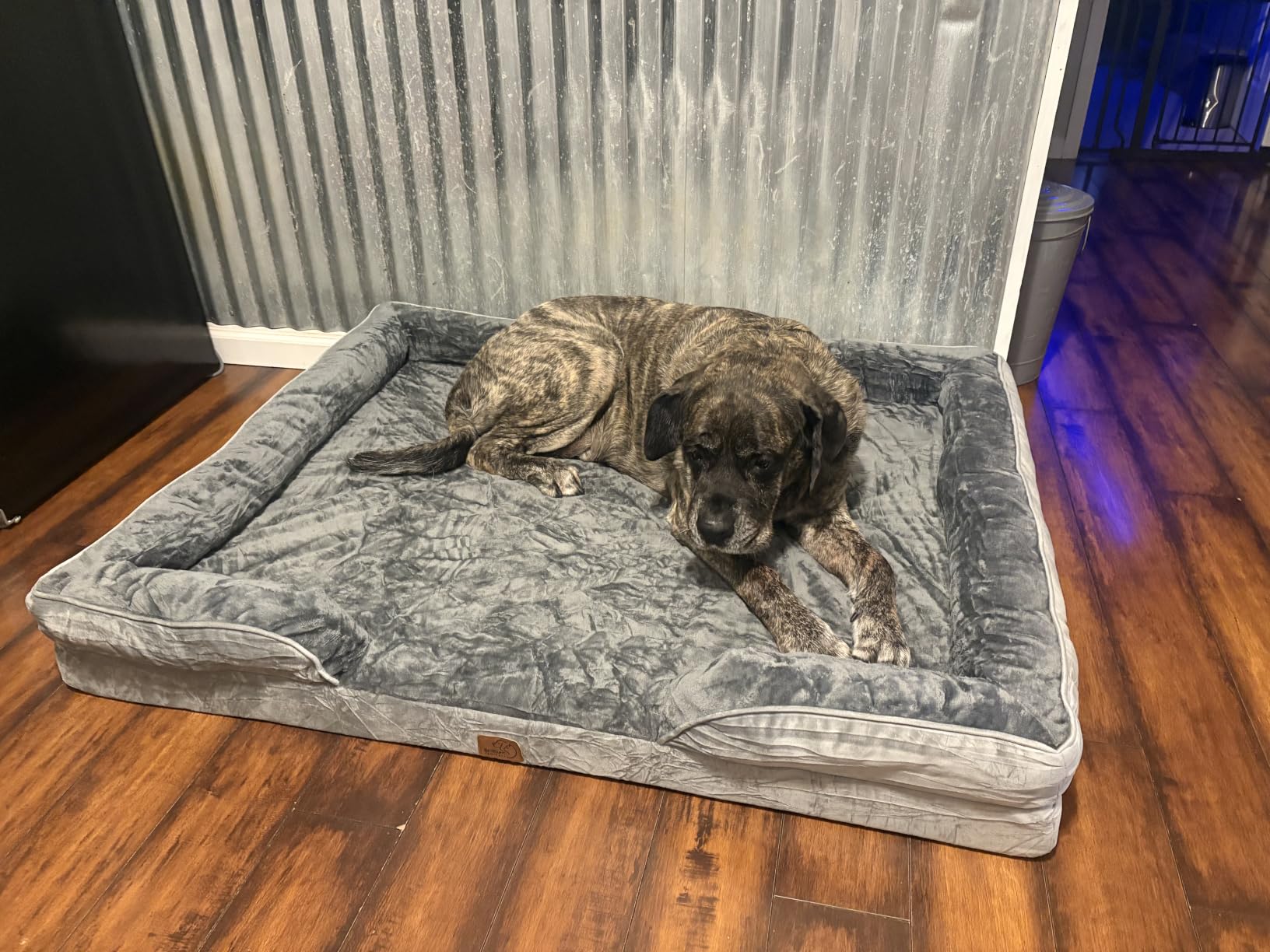Bedsure Orthopedic XL Dog Bed Extra Large with Removable Washable Cover | 42