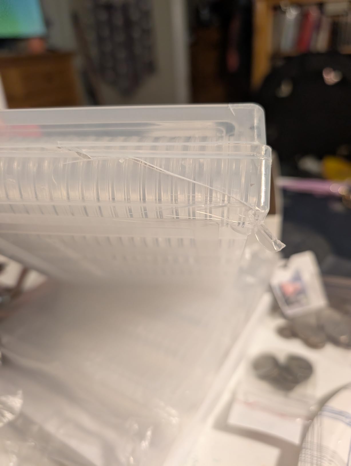 MUQING 240 PCS 30mm 5 Size Plastic Coin Capsule Holder customer photo 1
