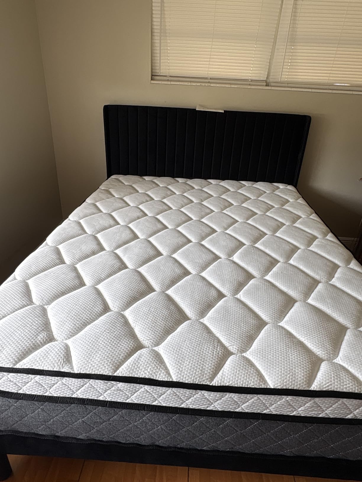 Allewie Queen Size Velvet Bed Frame/Vertical Channel Tufted Wingback Headboard/Upholstered Platform Bed/Strong Wooden Slats/No Box Spring Needed/Easy Assembly/White customer photo 1