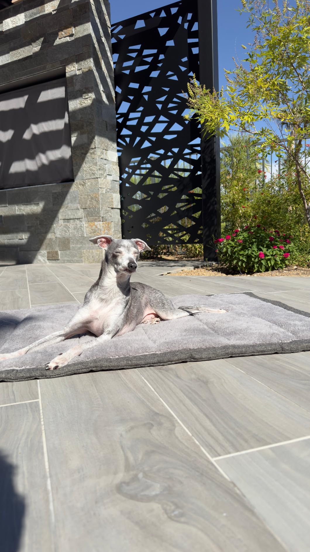 Rollup Outdoor Dog Bed,Camping Travel Dog Bed Mats for Medium Large Dogs, Portable, Foldable, Machine Washable Pet Accessories for Maximum Convenience 36