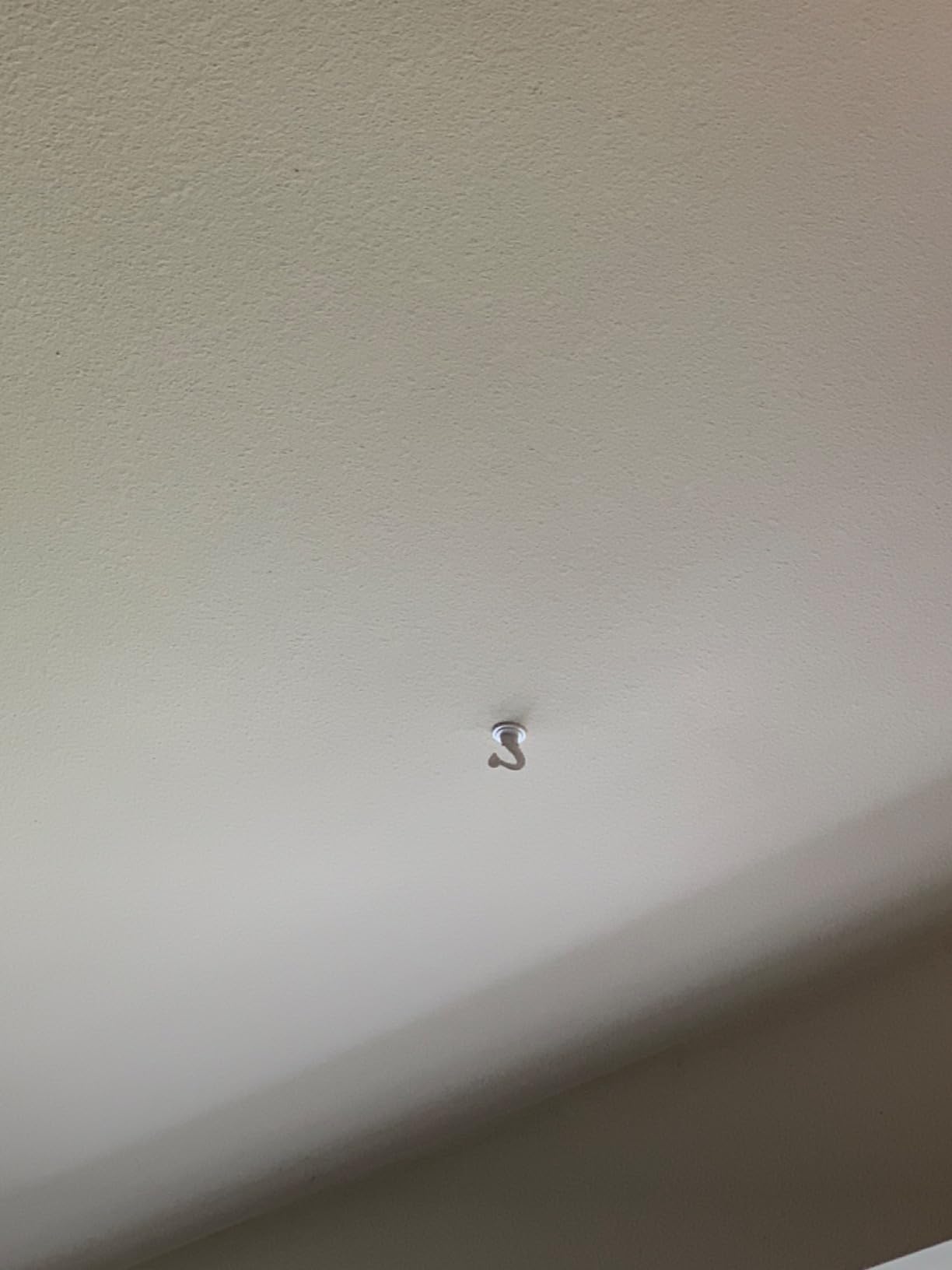 Ceiling Hooks for Hanging Plants - 6 Pack Heavy-Duty Metal Swag Hooks | Includes Screws and Brackets for Easy Installation; Ideal for Hanging Plants, Lights or Extender Chains from Ceilings. customer photo 1