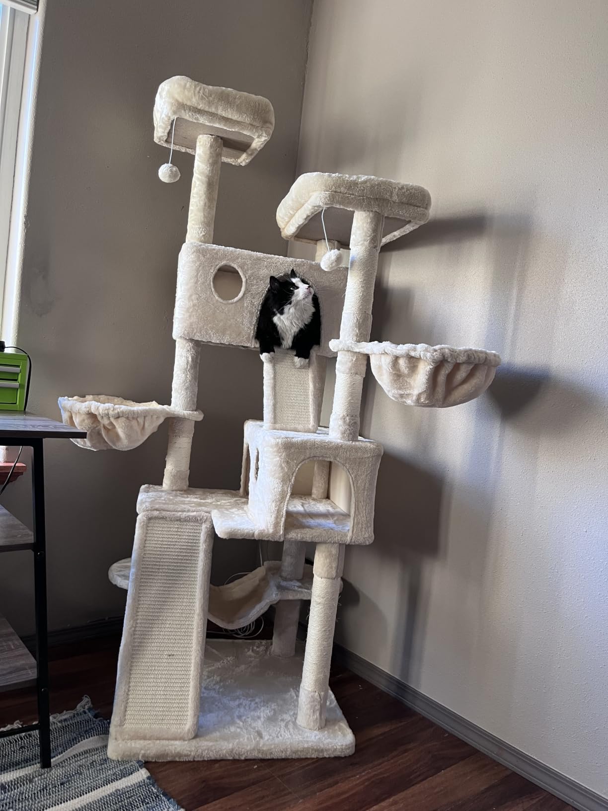 SHA CERLIN 65in Larger Cat Tree Tower Condo for Indoor Kitties/Multi-Level Furniture Activity Center with Wide Base/Cozy Plush Cat Perches/Baskets/Sisal Scratching Posts and Hammock/Beige customer photo 2
