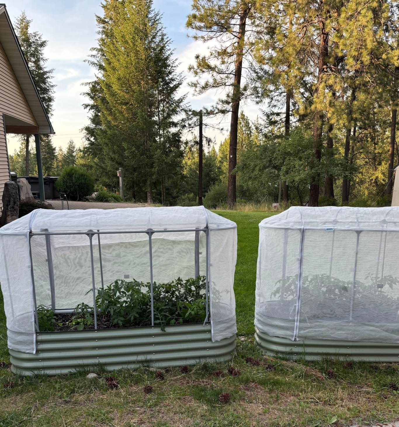 Vego garden 4.0' x 8.0' Mesh Cover System, Pest Control Frame Cover Kit, 35% Shading Rate for Plant Protection, Durable & Heavy-Duty Garden Cover (Garden Beds Not Included) customer photo 1