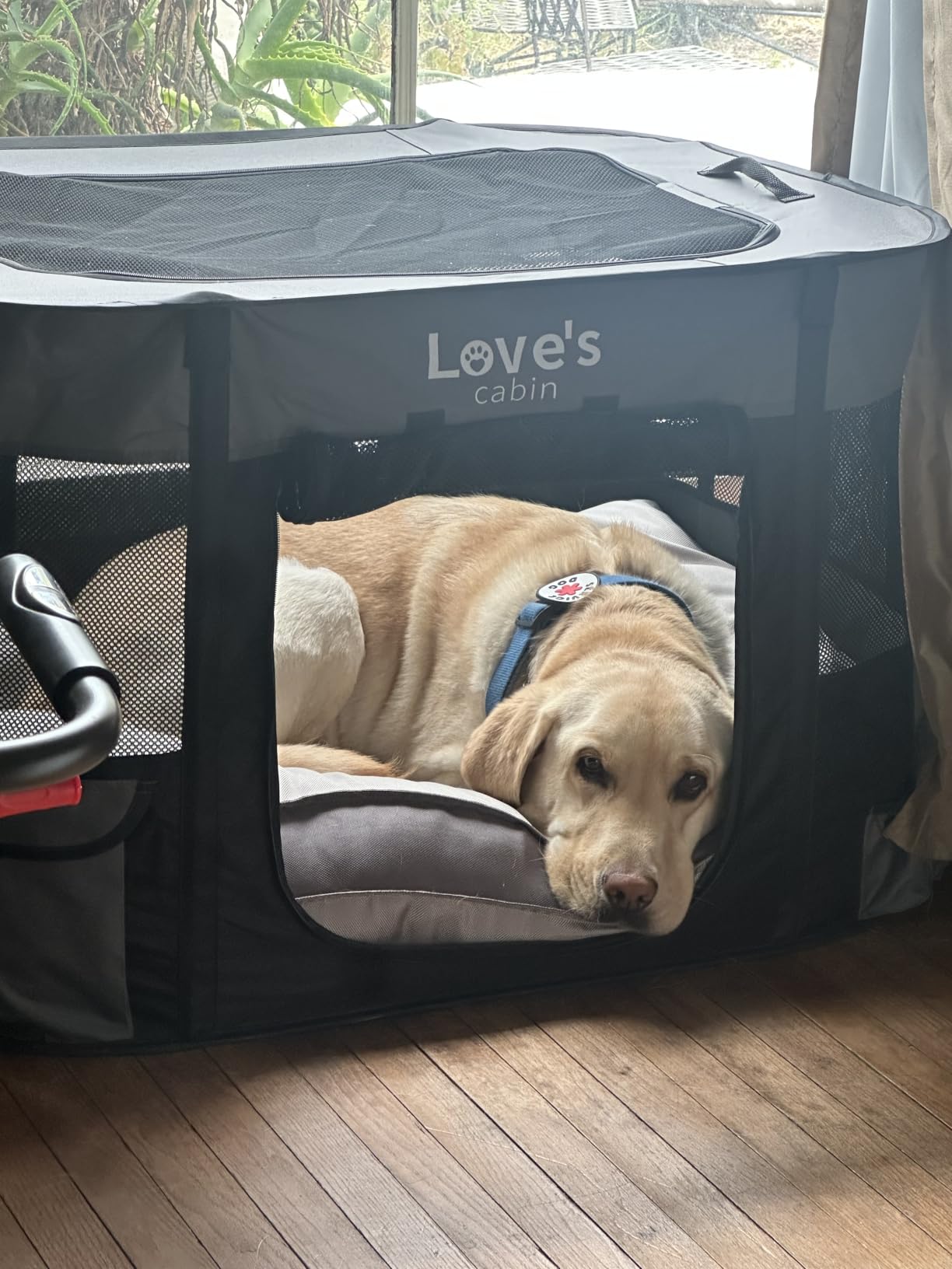 Love's cabin Pet Puppy Dog Playpen, Small Dog Tent Crates Cage Indoor/Outdoor, Portable Exercise Playpen for Cat, Foldable Pop Up Dog Kennel Playpen with Carring Case (S, Grey) customer photo 1