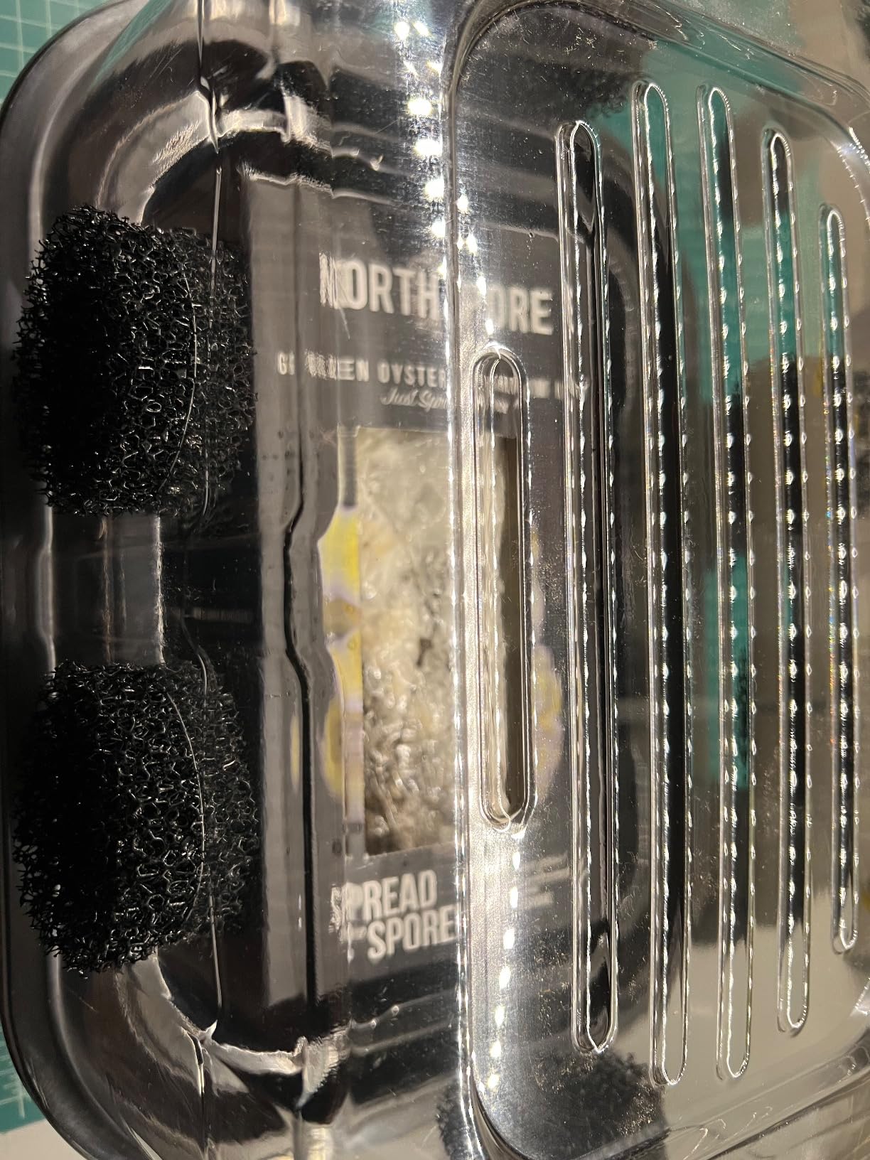 Mushroom Growing Kit, Monotub Stackable Grow Box, Fruiting Chamber with FAE Filters, Indoor Use, 12.6 x 12.6 x 6.3 inches, Clear and Black customer photo 1