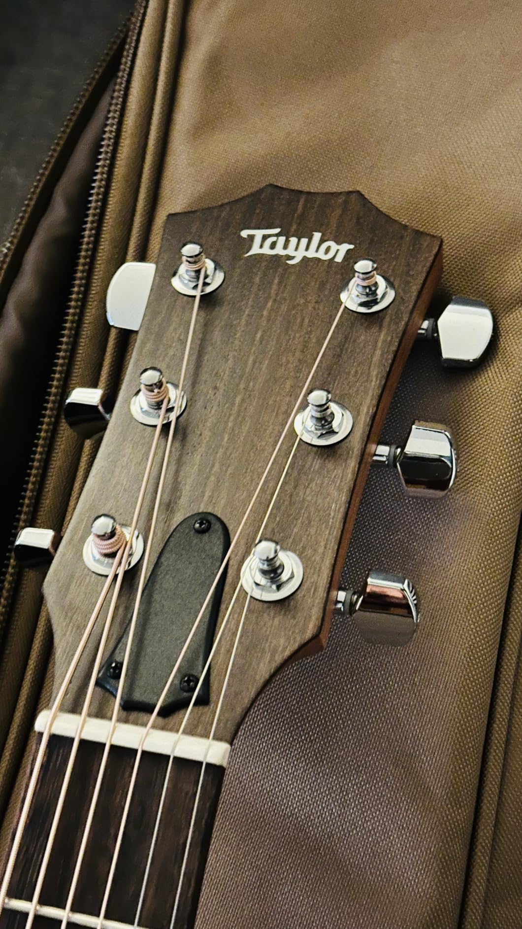 Taylor 114ce Grand Auditorium Acoustic-electric Guitar - Natural customer photo 1