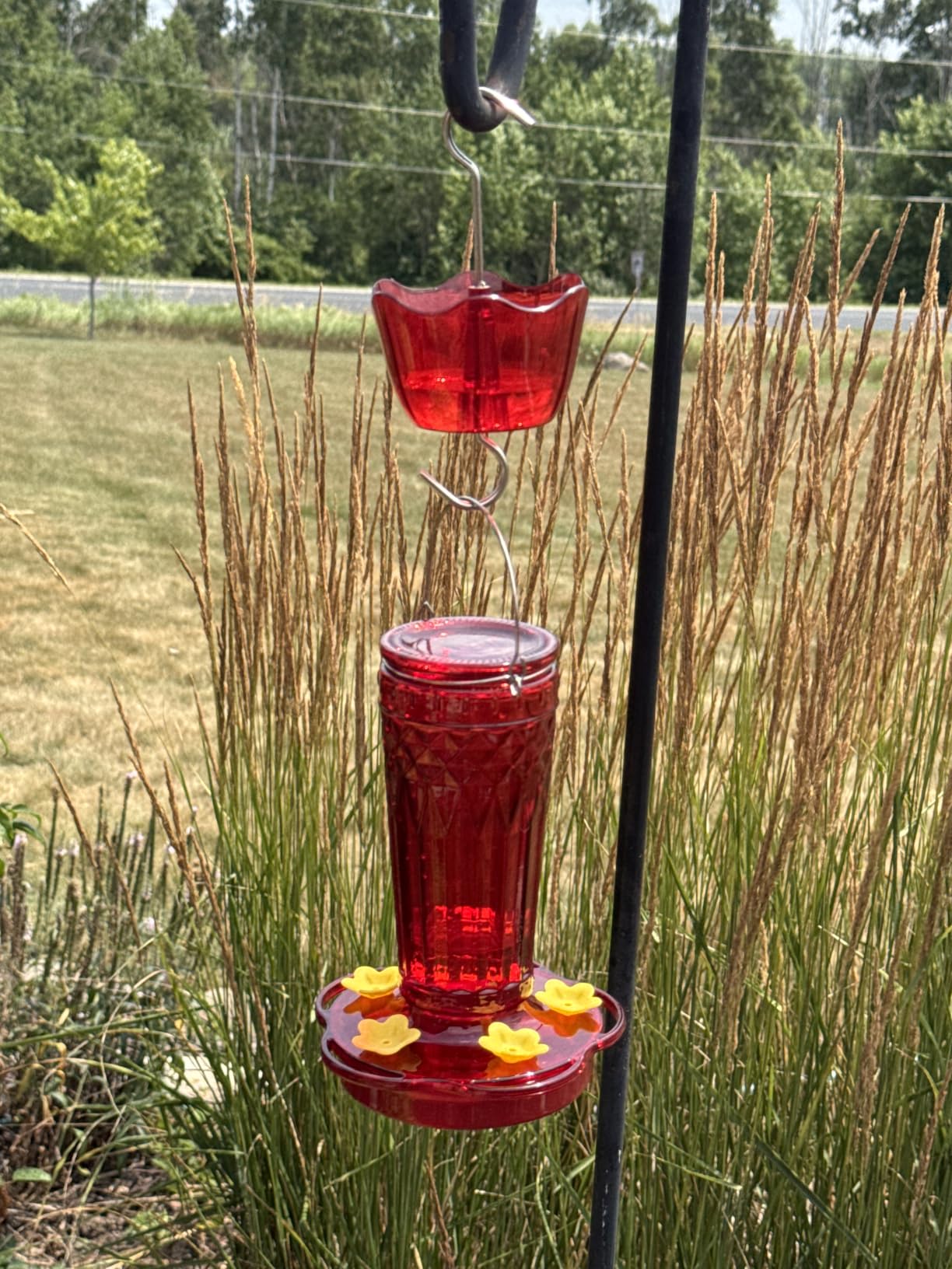 2 Pack Glass Hummingbird feeders for Outdoors 14Ounces, 5 Feeding Ports Hummingbird Feeder,Wide Mouth for Easy Filling/Cleaning, Hanging for Garden Backyard Decor, Includes Ant Moat (Red, 2Pack) customer photo 2