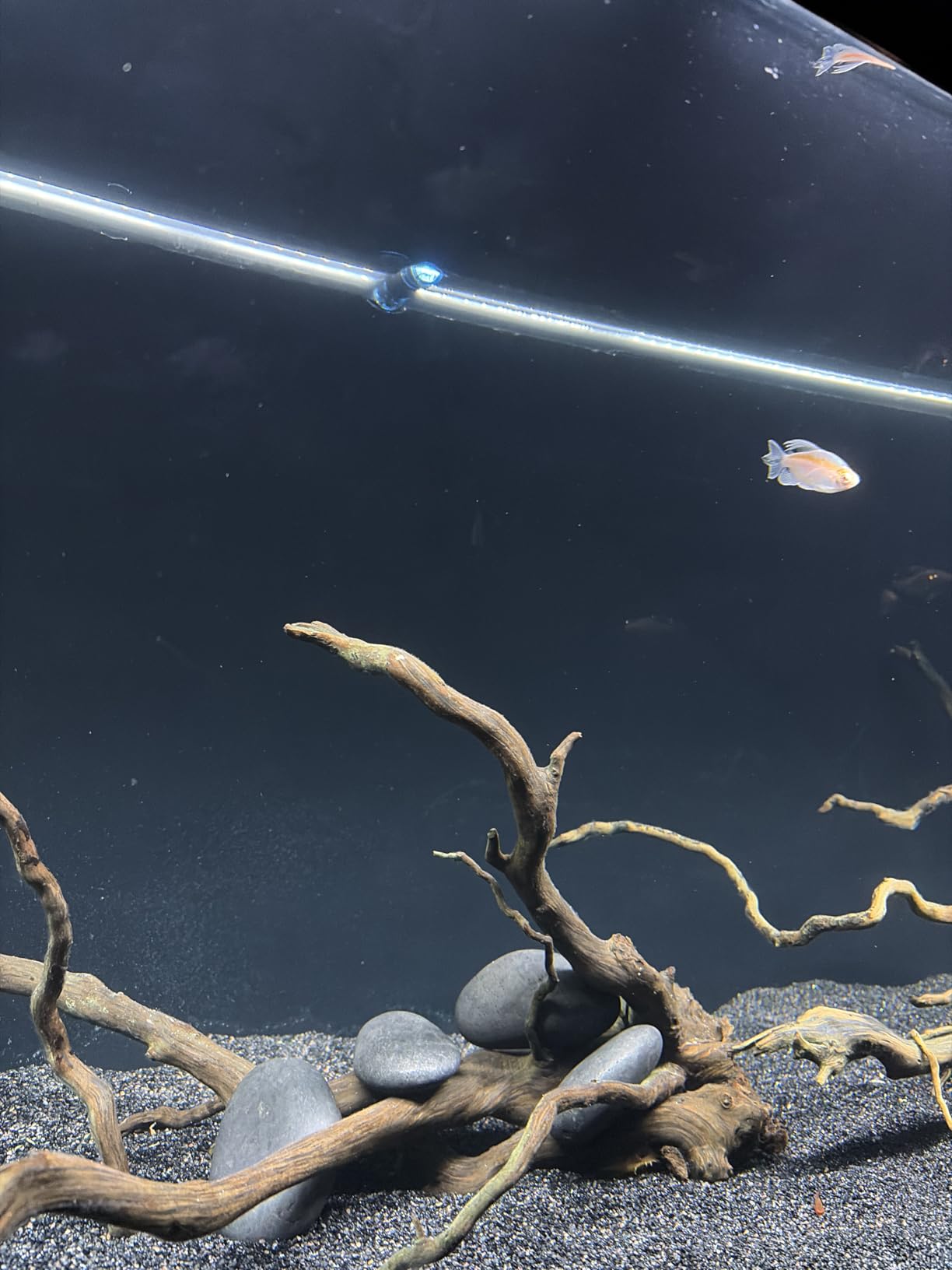 FZONE Auto Top Off with Solenoid for RO/DI System, Nano ATO for Saltwater Aquarium and Fresh Aquarium customer photo 2