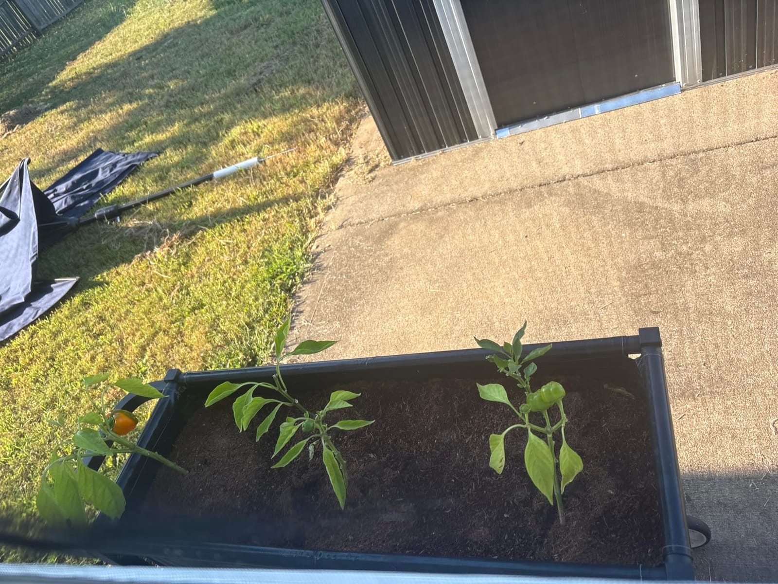 Raised Garden Bed with Legs, Black customer photo 2
