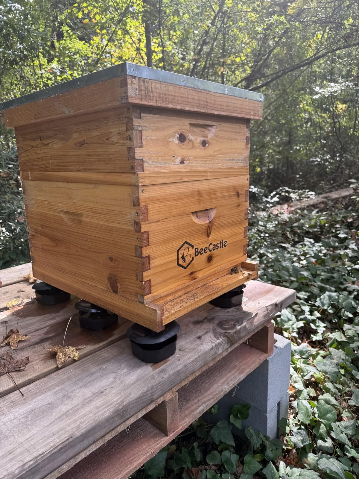 DECOHS 3 Sets/12Pcs Beehive Stands- Sturdy Beehive Feet Stands- Beehive Base Beekeeping Hive Support Tools for Outdoor Garden Beekeeper Workshop customer photo 1