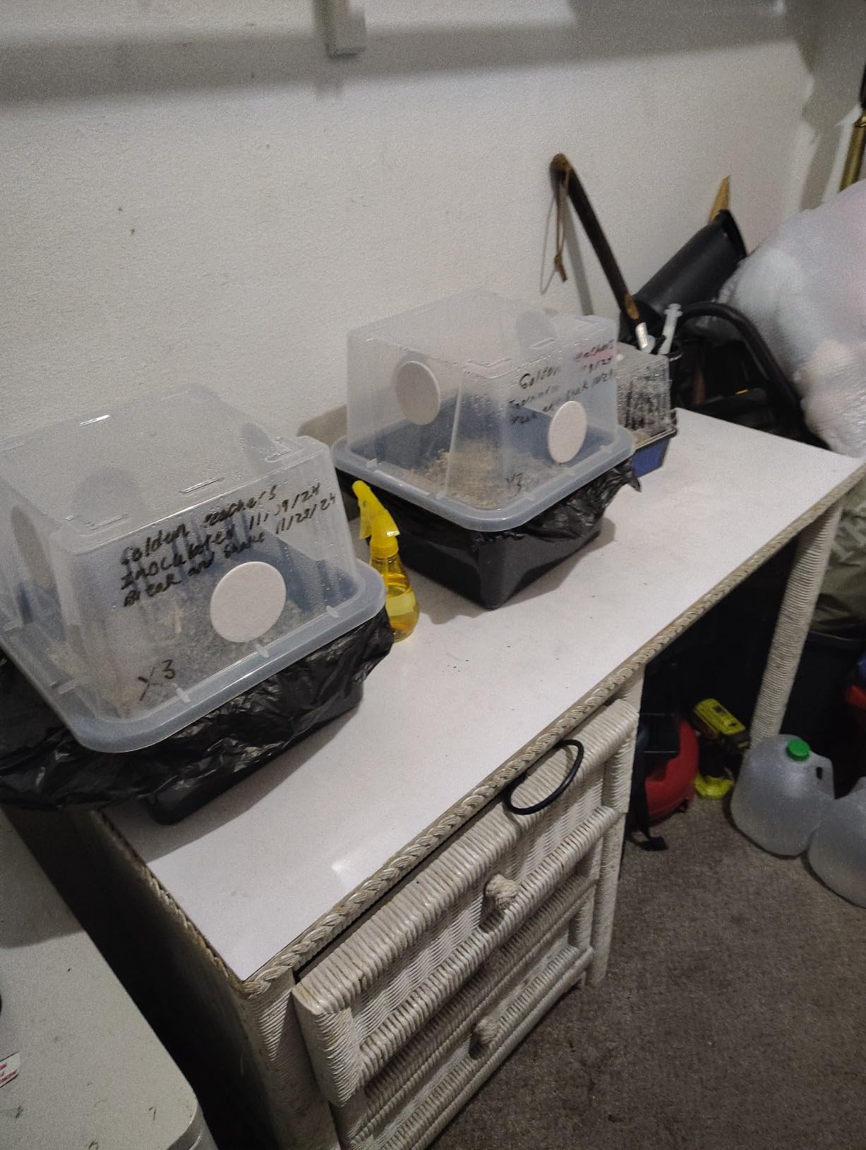 Grower's Select 28Q Cube Mushroom Monotub Fruiting Chambers with Filter Disks and Liners (2 Pack) customer photo 2