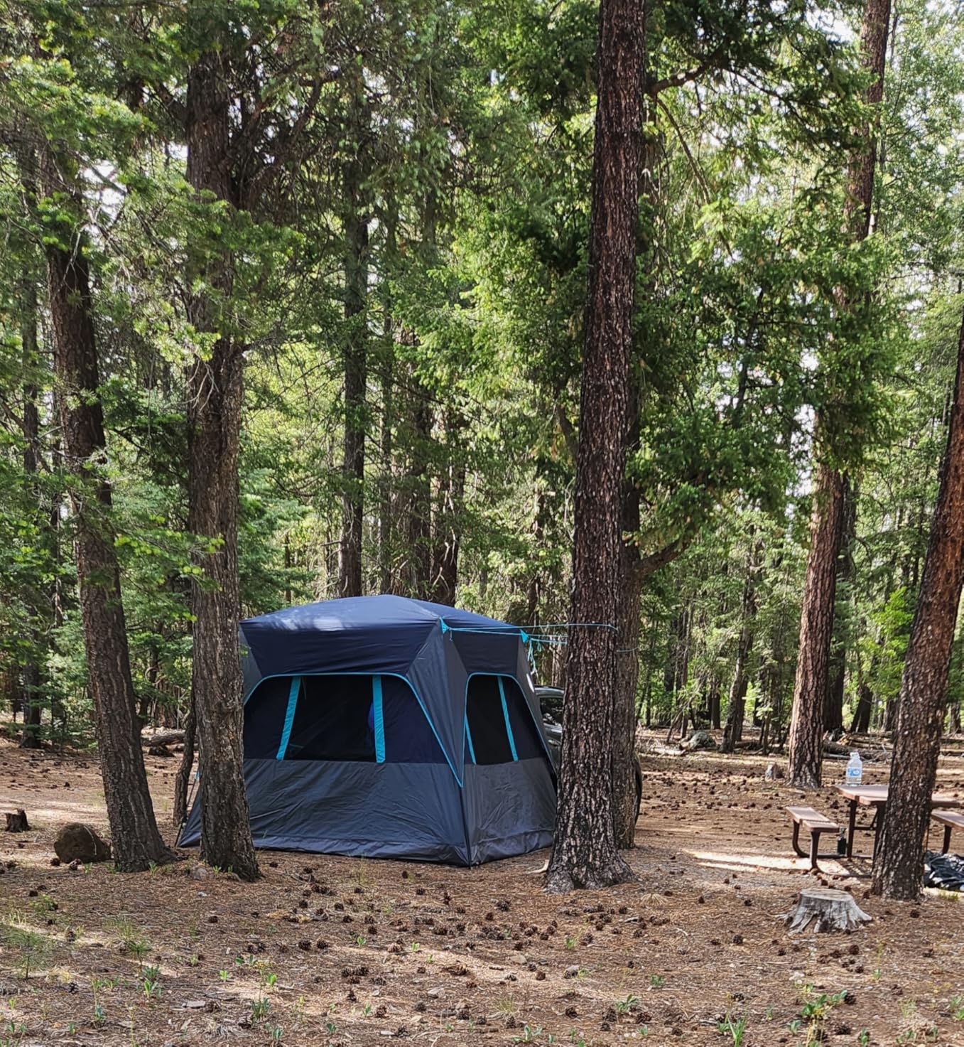 Timber Ridge Truck-Bed-Tents SUV Camping Tent | Weather Resistant and Portable Van or Car Tent, Includes Rainfly and Storage Bag customer photo 2