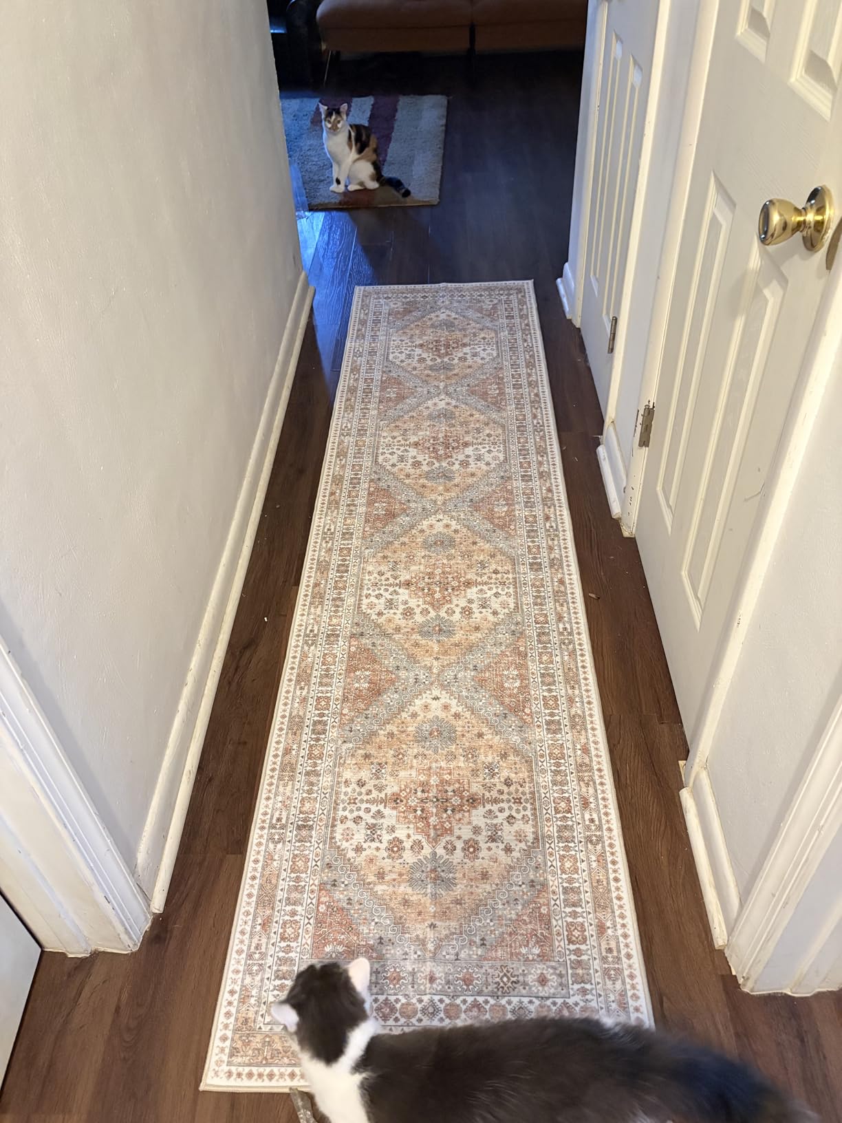 Runner Rug 2x8 Runners for Hallways Vintage Washable Rugs, Orange | Hallway Runner Rugs for Living Room Non Slip, Low Pile Soft Hallway Rug for Kitchen Bedroom Laundry Room Rug customer photo 1