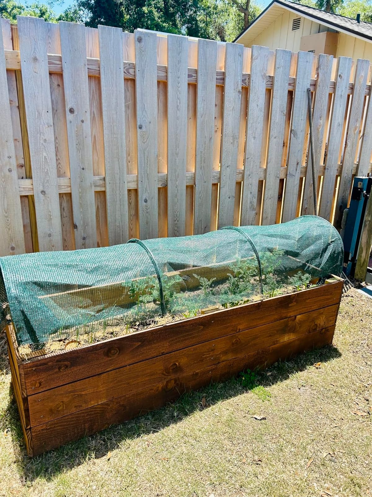 2 in 1 Portable Greenhouse Protection from Sun Heat,Garden Tunnel Shade Net Cover with Quick-Release Technology,Row Covers for Vegetables Plant Cover from Sun (Pack 1) customer photo 1