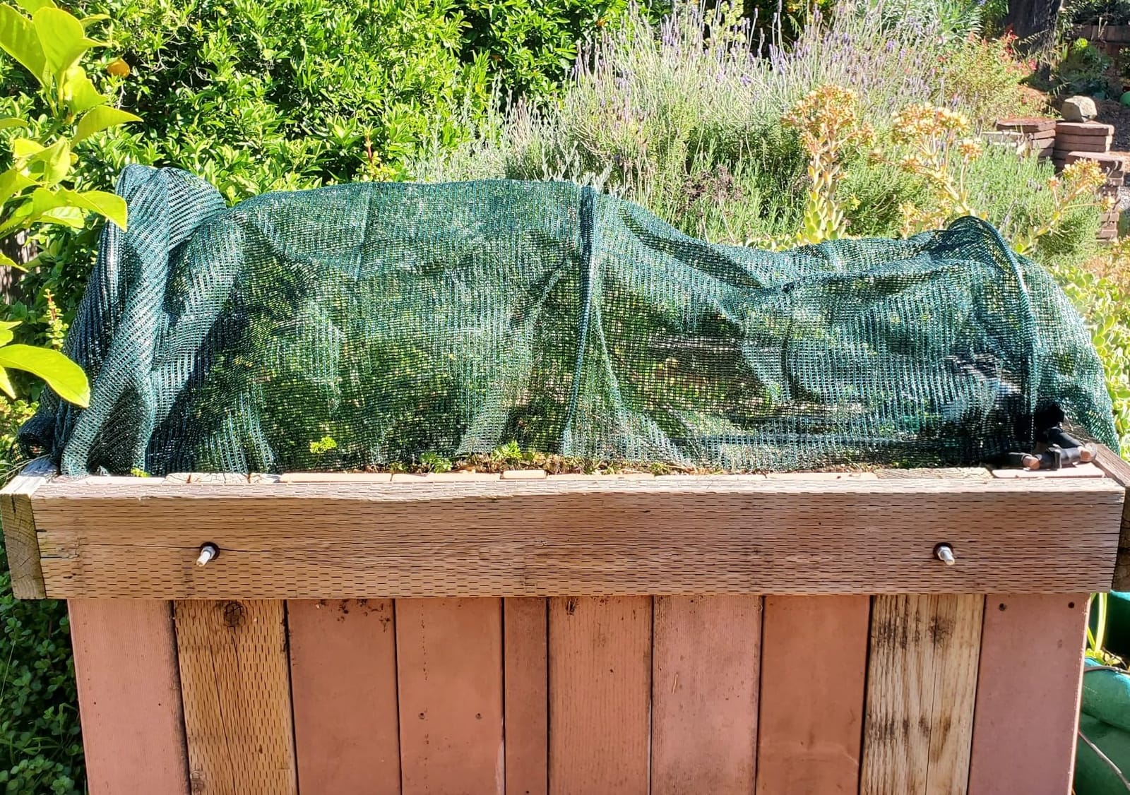 2 in 1 Portable Greenhouse Protection from Sun Heat,Garden Tunnel Shade Net Cover with Quick-Release Technology,Row Covers for Vegetables Plant Cover from Sun (Pack 1) customer photo 2
