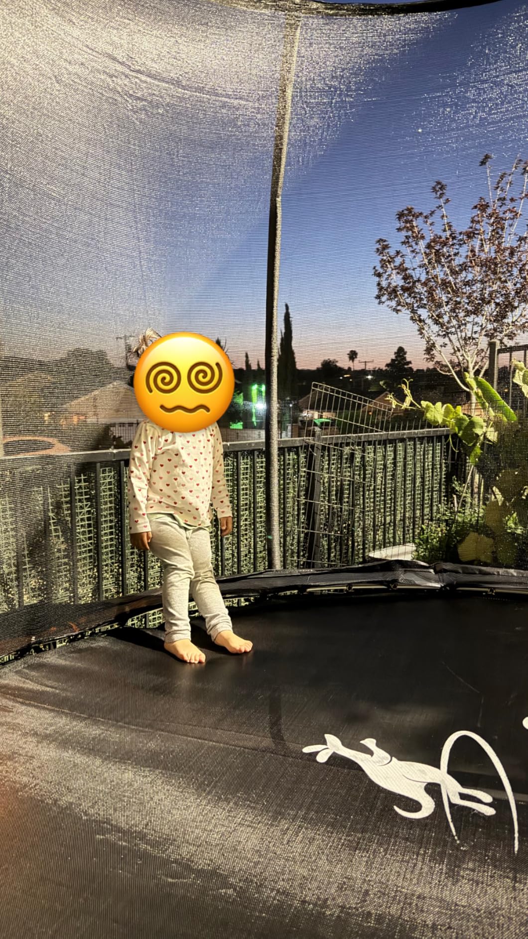 JELENS Trampoline 8FT 10FT 12FT 14FT 15FT 16FT, Recreational Trampolines with Enclosure Net, Outdoor Anti-Rust Trampolines for Kids and Adults, ASTM Approved customer photo 2