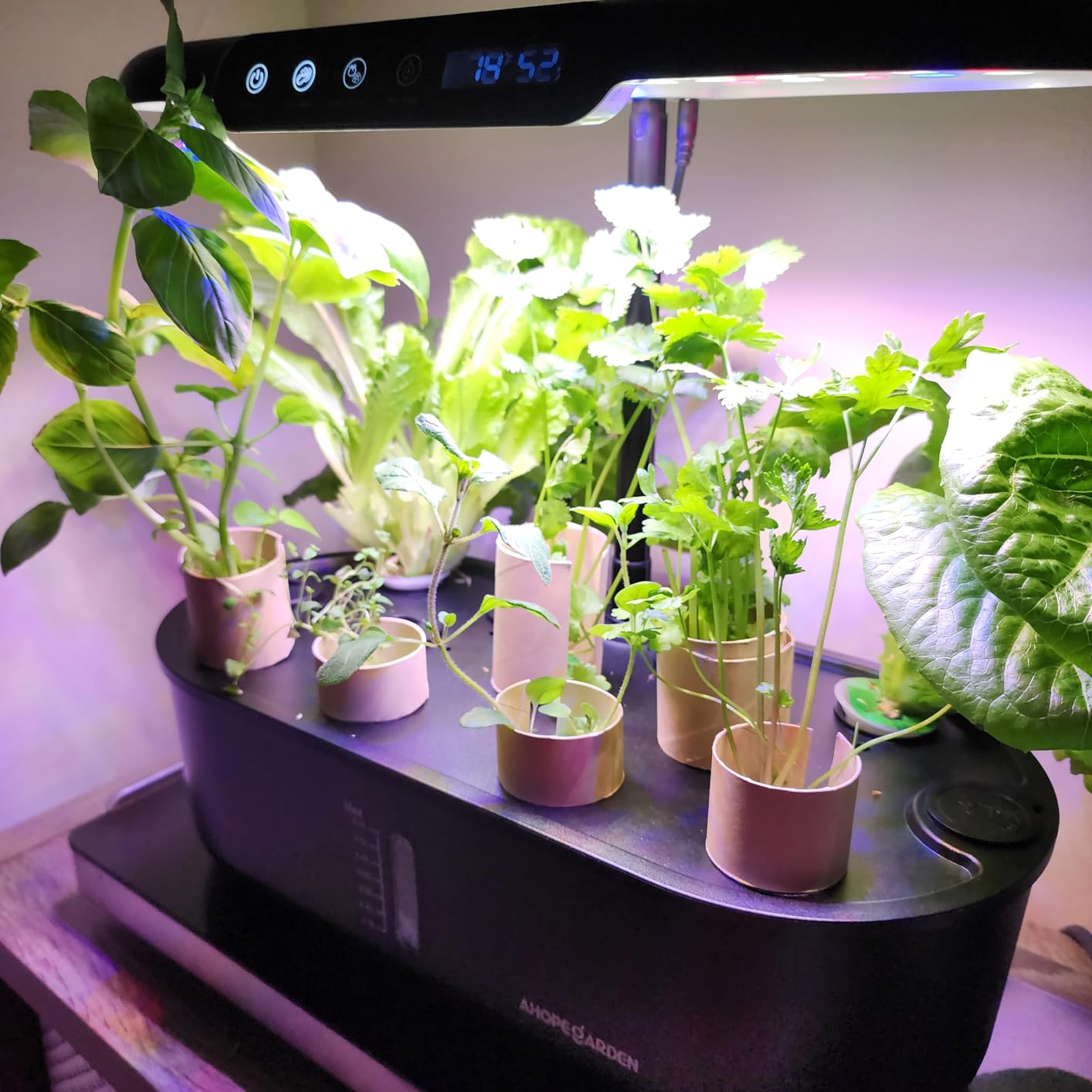 Hydroponics Growing System Kit: 12 Pods Temp & Humidity Monitor | Indoor Herb Garden with Full Spectrum LED Grow Light for Growing Vegetables, Herbs and Lettuce customer photo 2