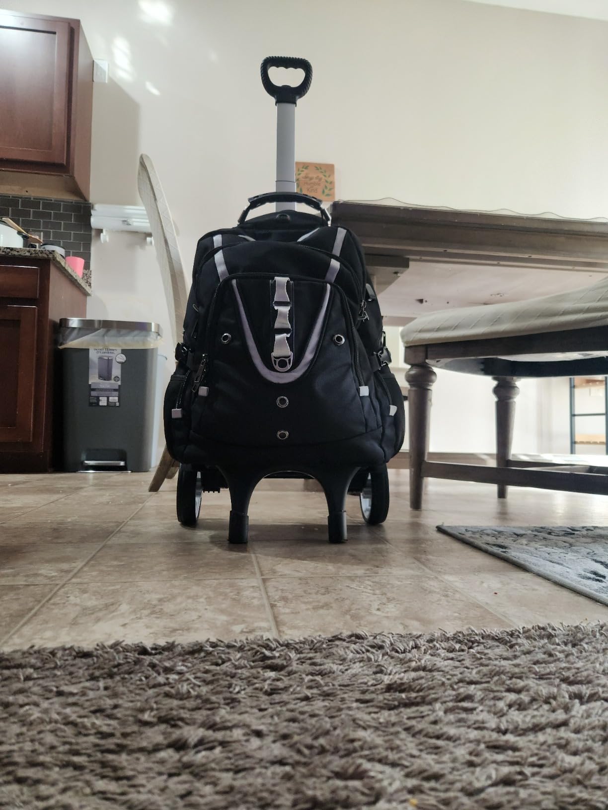 Backpack Trolley, Rolling Backpack Cart with Quiet Wheels, Luggage Cart | Folding backpack cart with luggage strap for backpacks, luggage, work bags, disc golf bags, travel and daily use customer photo 2