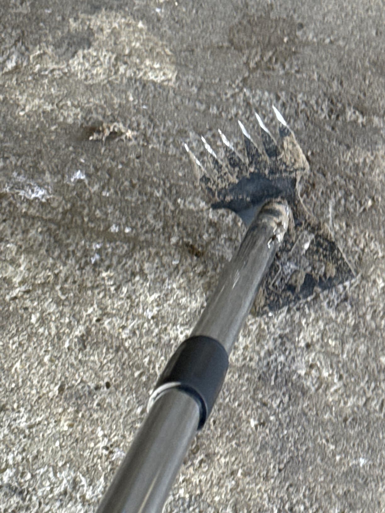 Stand Up Weed Puller Tool Long Handle with Stainless Steel Claws customer photo 2