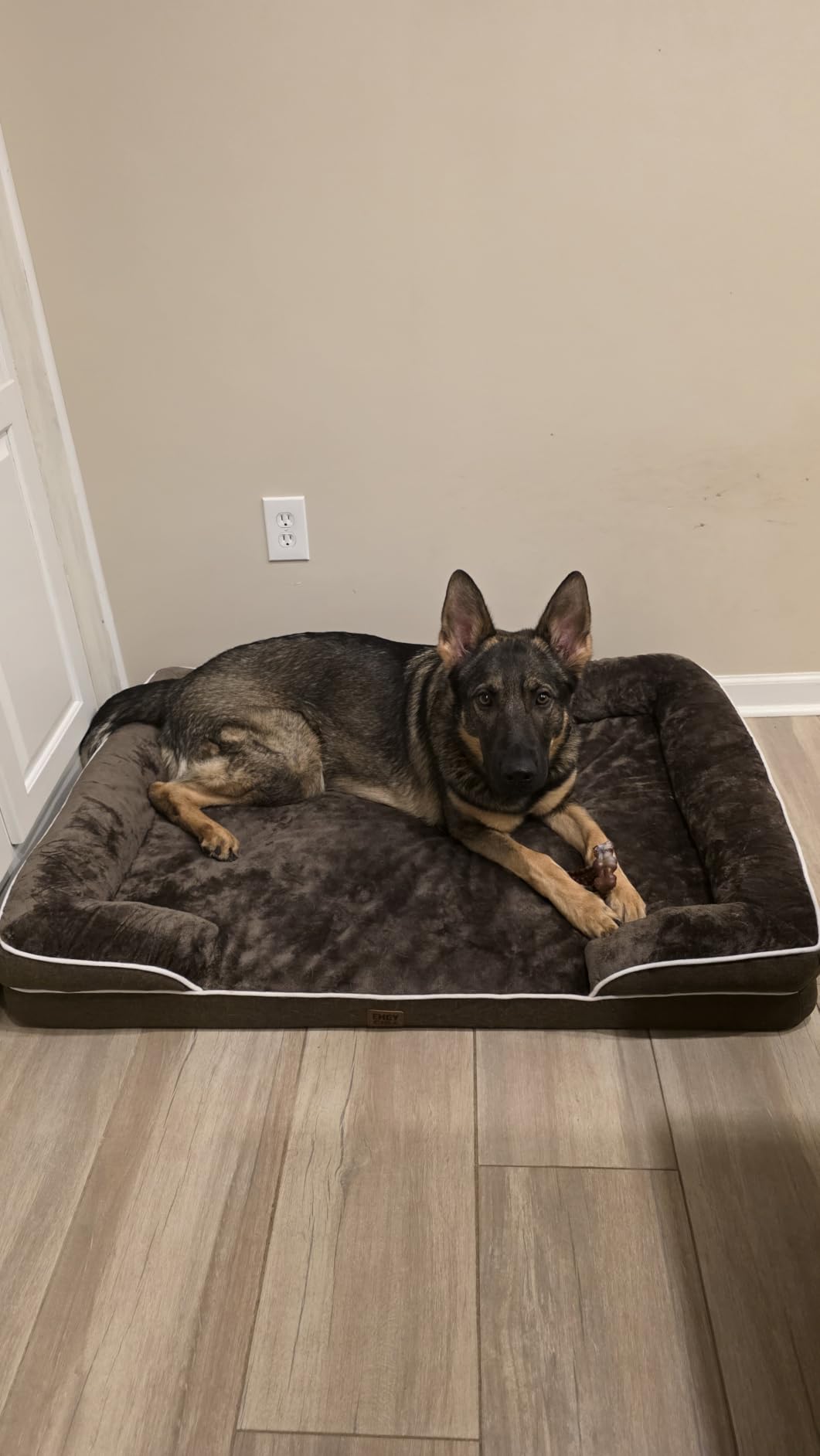 EHEYCIGA Orthopedic Small Dog Bed, Waterproof Memory Foam Washable Pet Beds, Grey customer photo 2