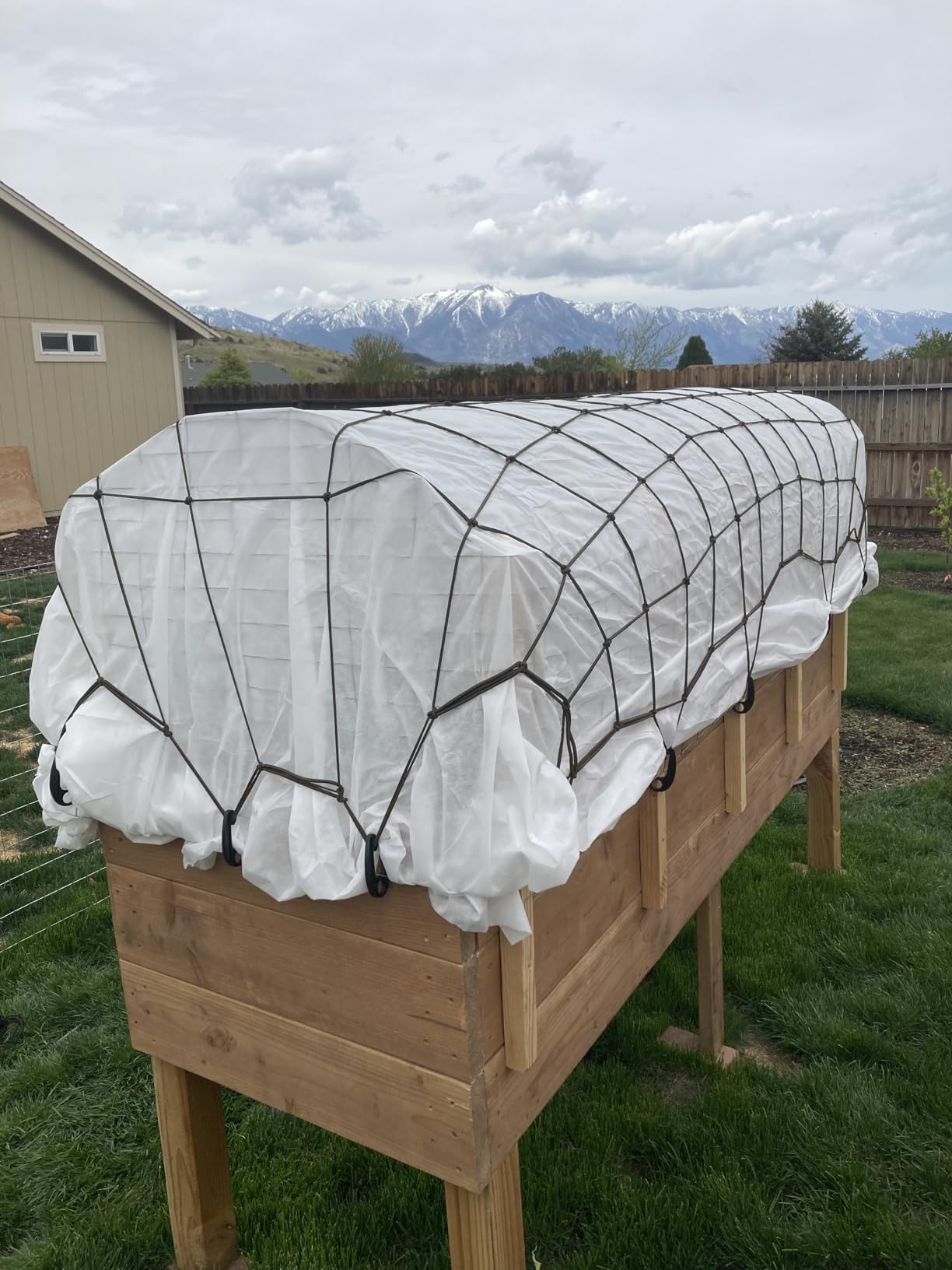 Gardzen 1.5 oz Plant Covers Freeze Protection, Reusable 10ft x 50ft Floating Row Covers, Thicker Frost Blankets for Outdoor Plants, Pests Protection, White customer photo 1