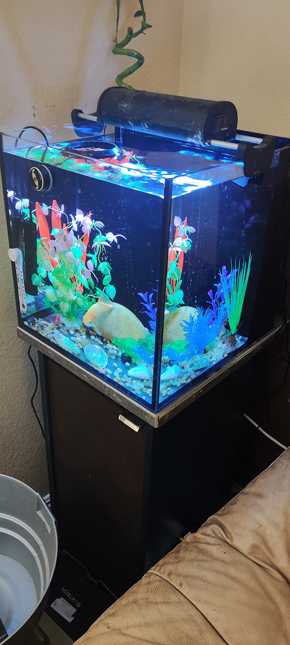 Innovative Marine Starter Kit Aquariums (25 Gallon Lagoon) customer photo 2