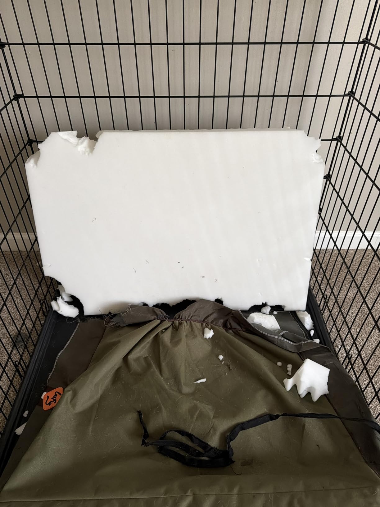 Laifug Foldable Waterproof Dog Bed for Large Dogs - Outdoor Orthopedic Dog Bed with Washable Removable Cover, Pet Mattress with Handles, Army Green, (36 x 27 x 3.5, inches) customer photo 2