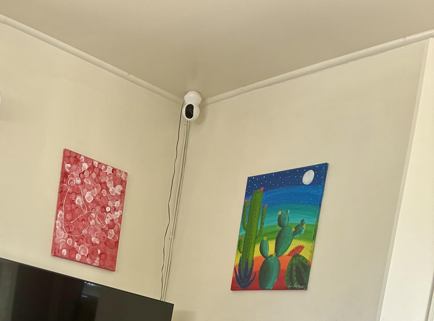 Tapo 1080p Pan/Tilt Security Camera for Baby Monitor, Pet Camera, C201 customer photo 1