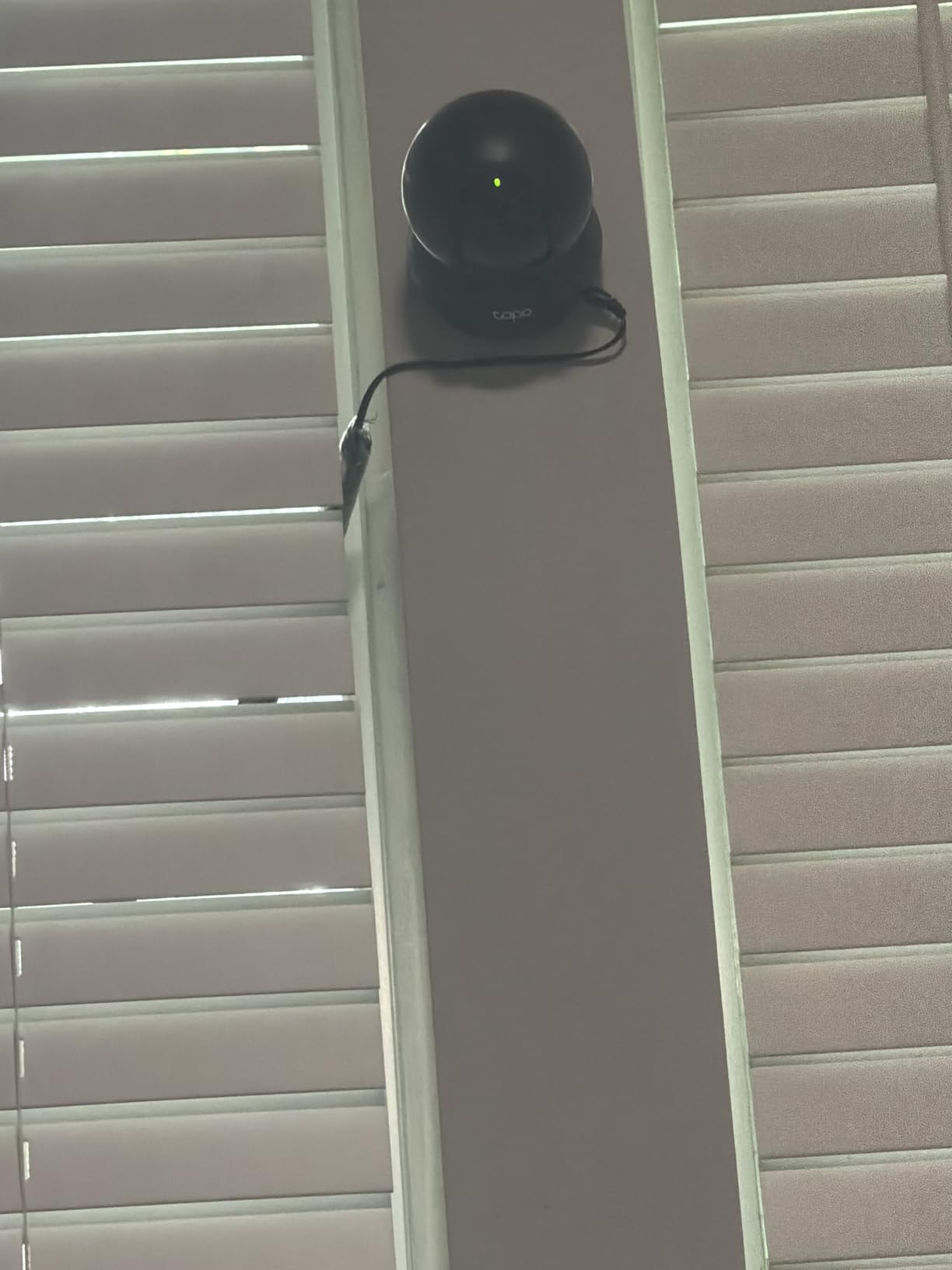 Tapo 1080p Pan/Tilt Security Camera for Baby Monitor, Pet Camera, C201 customer photo 2