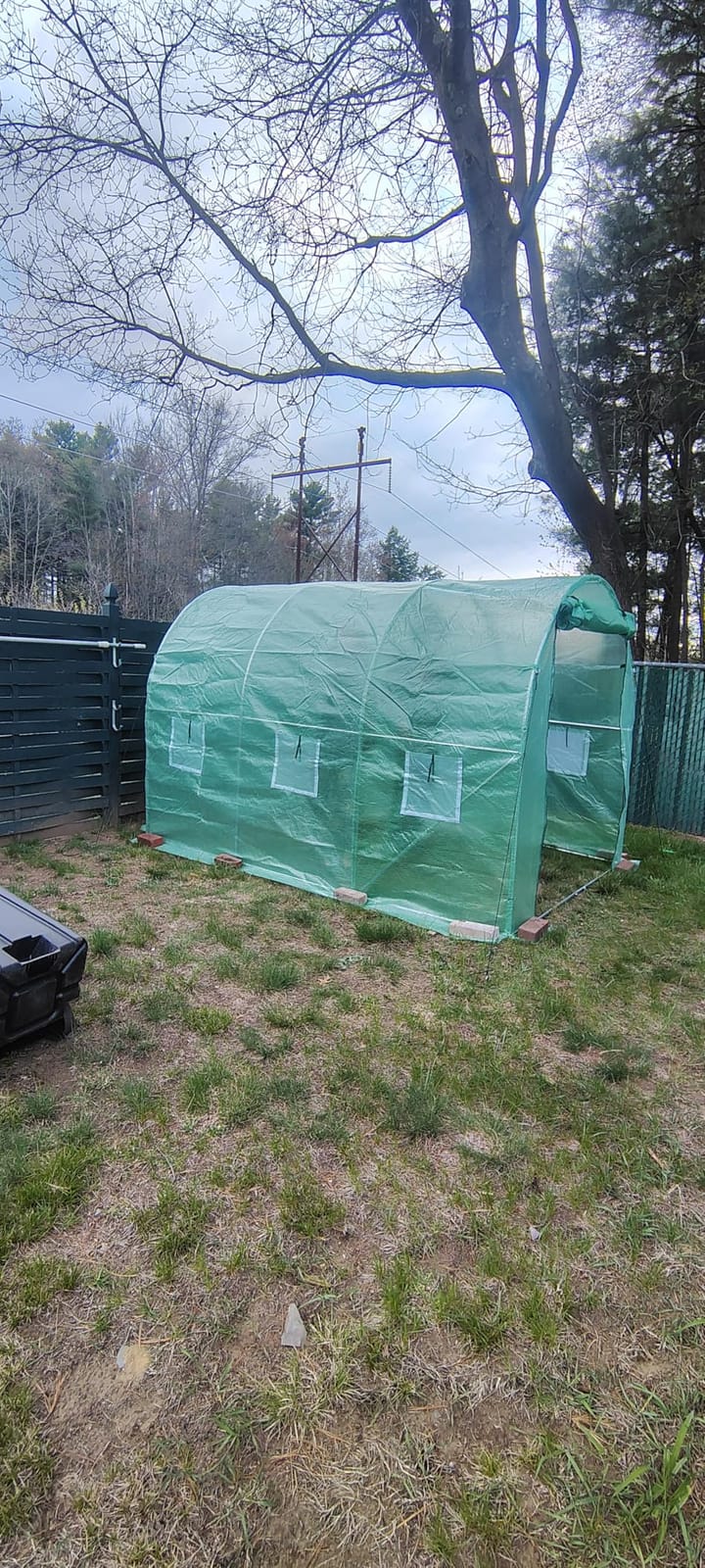 VEVOR Walk-in Tunnel Greenhouse, 9.6x6.4x6.2 ft Hoop House Greenhouse Tunnel, Plant Hot House with Galvanized Steel Frame, White PE Cover, Roll-up Zipper Door and 6 Windows for Outdoor customer photo 1