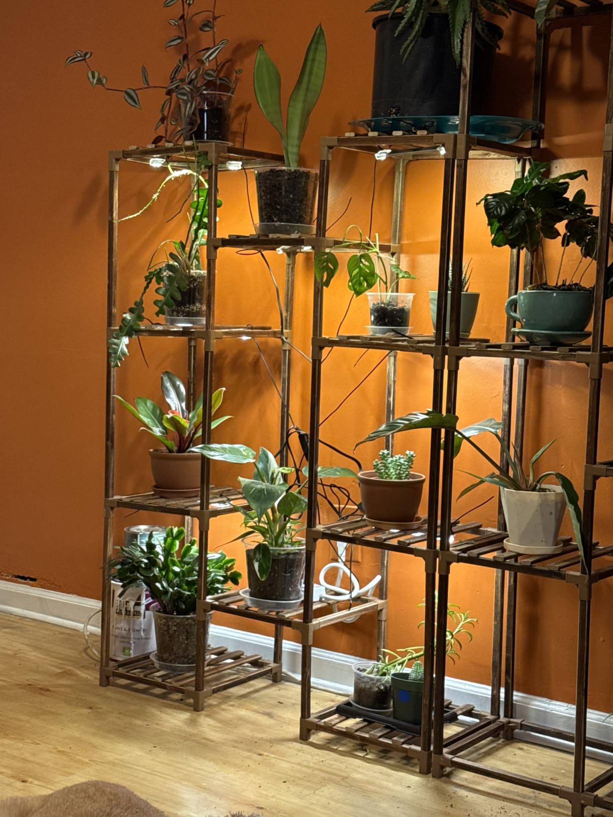 Bamworld Plant Stand with Grow Light Plant Shelf for Mutiple Pots Large Plant Holder for Living Room Patio Boho Home Decor for Gardening Warm Light customer photo 1