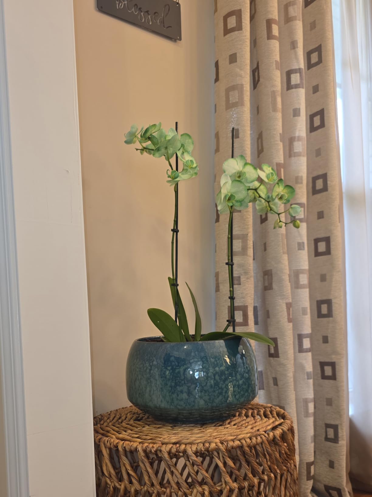 Reactive Glaze Peacock Color 11