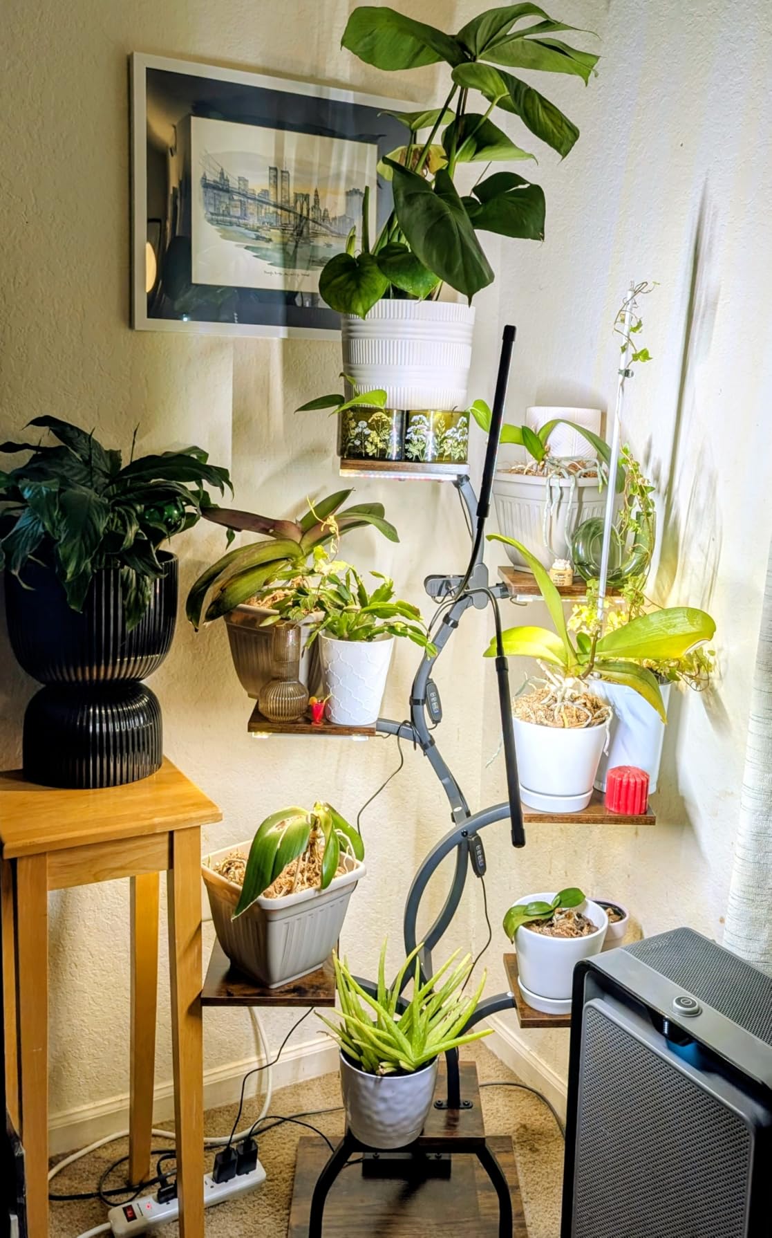 Plant Stand Indoor with Grow Light - 8 Tiered Corner Plant Shelf Indoor | 49
