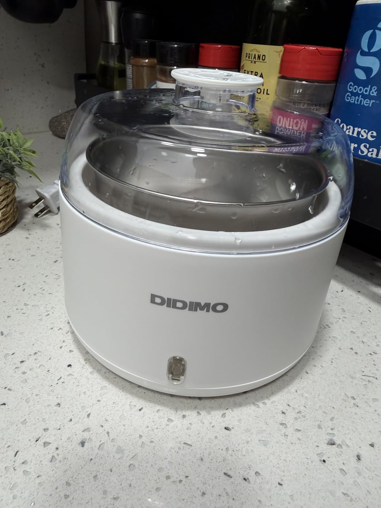 Yogurt Maker, 1.37QT Automatic Greek Yogurt Machine for Home Kitchen | Electric Curd Maker for Natto, Rice Wine Fermenter, Stainless Steel Bowl, Constant Temp, BPA-Free, Probiotic Maker, 1.3L customer photo 2