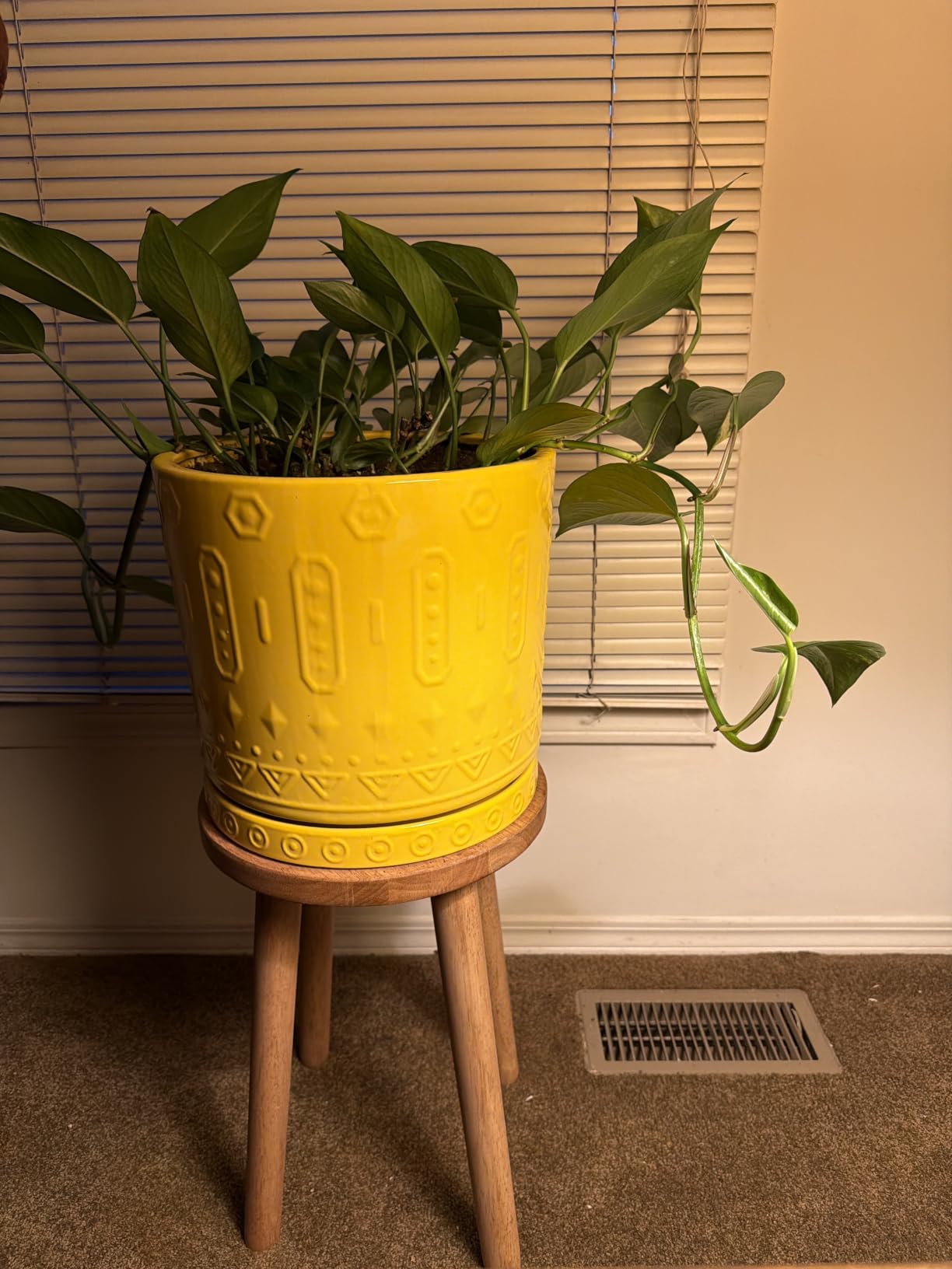 Eightpot 12 Inch Pot for Plants - Ceramic Planter for Indoor Plants Large Plant Pot with Drainage Holes and Saucer Outdoor Flower Pot Decorative Round Planter for Porch Office Decor Blue customer photo 2