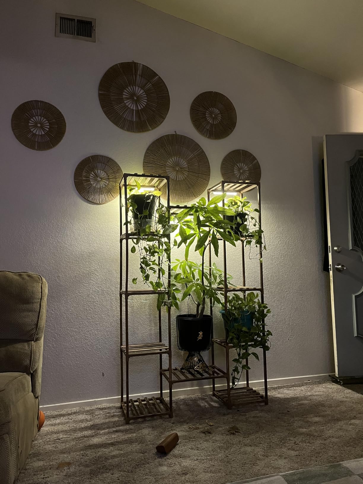 GENTINGBRO Plant Stand Indoor with Grow Lights for Indoor Plants 62.2'' Tall Plant Shelf 12 Tiers Sturdy Plant Rack for Plants Dispaly for Living Room Garden Patio Decor customer photo 2