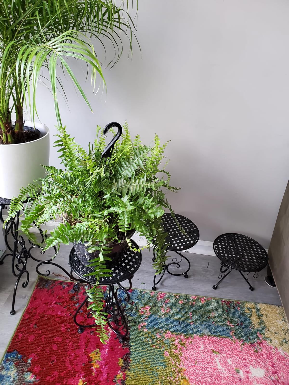 NAKUPE 4-Pack Metal Plant Stand for Indoor Outdoor, Heavy Duty Flower Pot Stands for Multiple Plants, Rustproof Iron Planter Holder Display Shelf for Patio Home Garden Porch Balcony(Black) customer photo 2