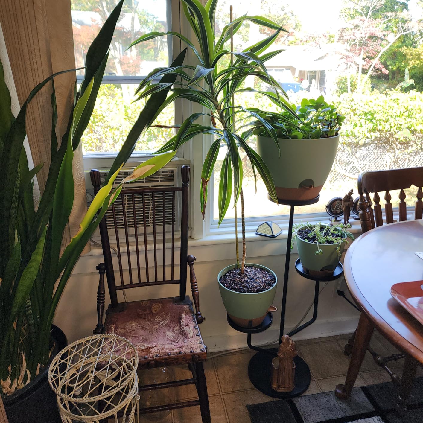 8/10/12 Inch Self Watering Pots for Indoor/Outdoor Plants - Large Plastic Planter with Drainage Holes, Water Level Indicator & Deep Reservoir, Modern Decorative Flower Pots (White) customer photo 1