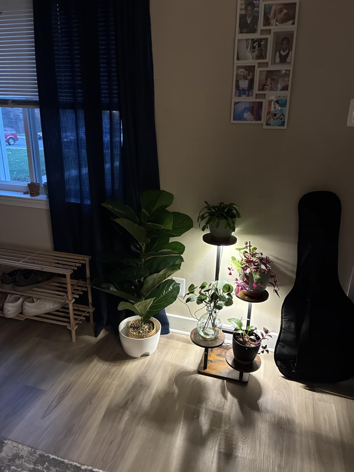 Plant Stand Indoor with Grow Light, 4-Tiered Tall Plant Stand Indoor, Metal Plant Shelf with Adjustable Light, Ideal for Living Room, Garden, Patio (Black Brown) customer photo 1