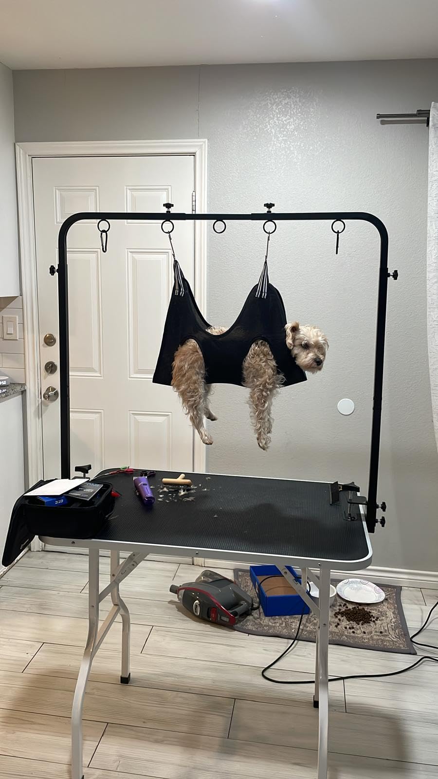 Dog Grooming Arm for Table, 42
