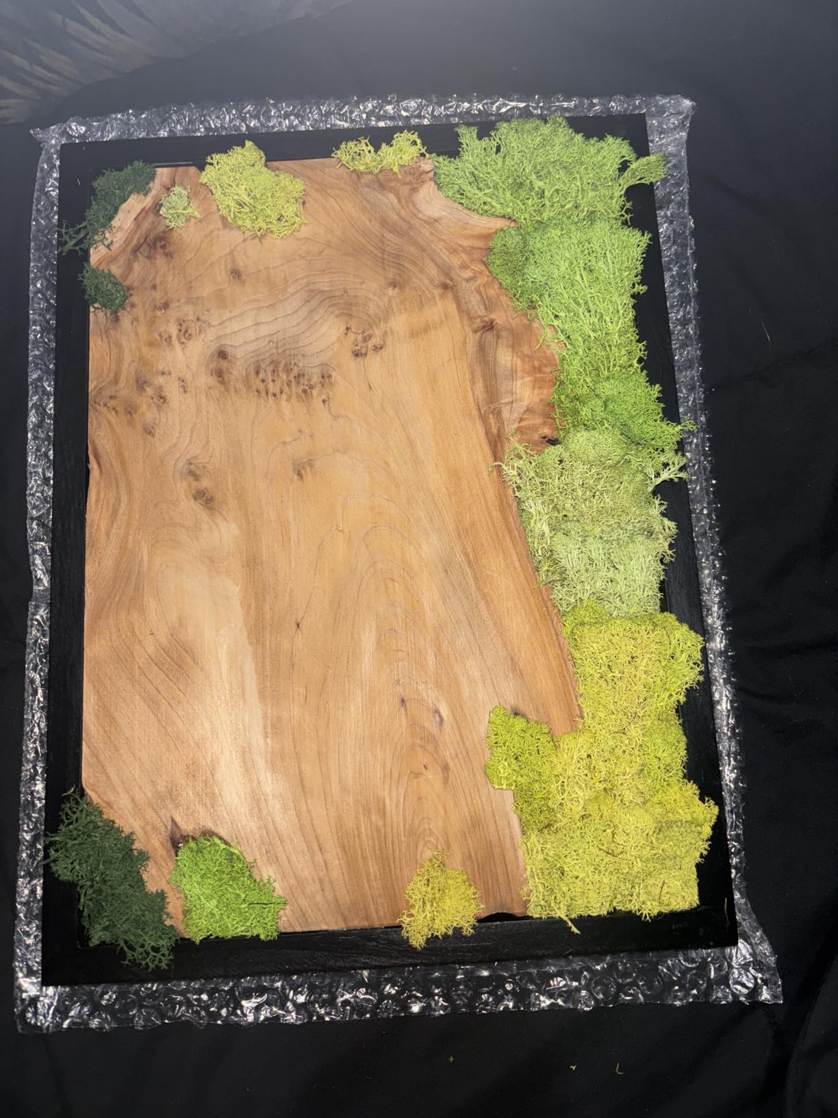 NAHARO Natural Preserved Moss Wall Art - Natural moss&wood Handcrafted Rustic Charm for Your Home- Unique Wall Hanging for Living Room, Bedroom, Office, or Kitchen - No Maintenance customer photo 1