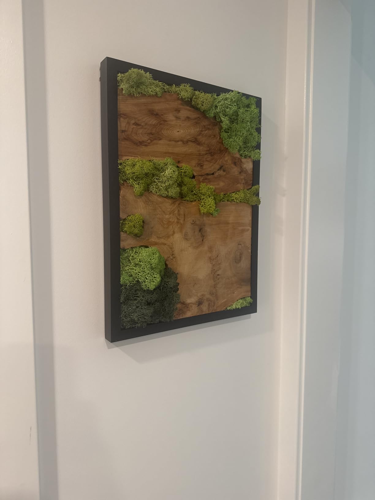 NAHARO Natural Preserved Moss Wall Art - Natural moss&wood Handcrafted Rustic Charm for Your Home- Unique Wall Hanging for Living Room, Bedroom, Office, or Kitchen - No Maintenance customer photo 2
