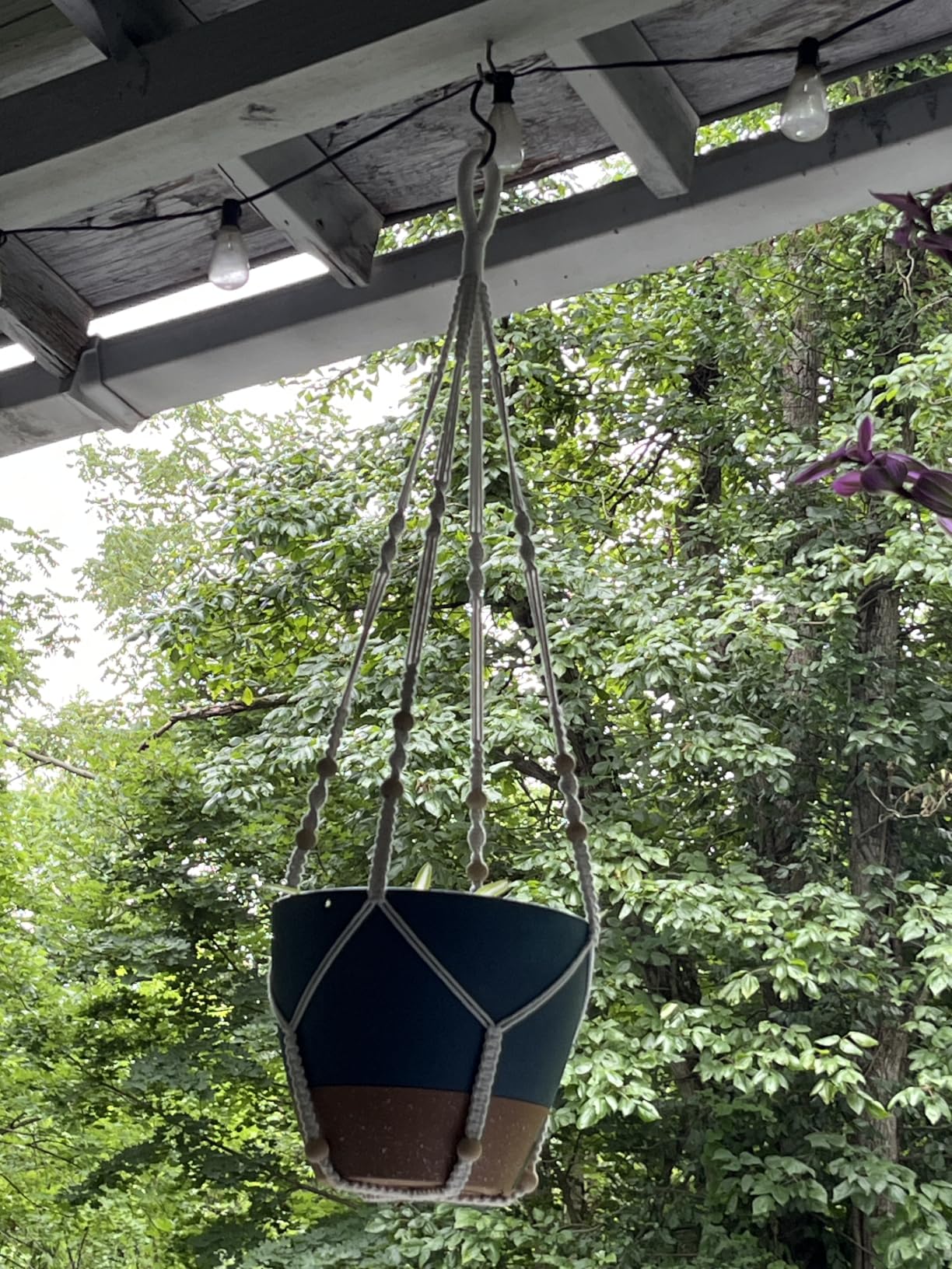 10 Inch Self Watering Hanging Planters for Indoor Plants, 2 Pack | Navy blue Hanging Baskets for Plants Outdoor with Drainage, Visible Water Window, Metal Chains & Macrame Plant Hangers customer photo 1