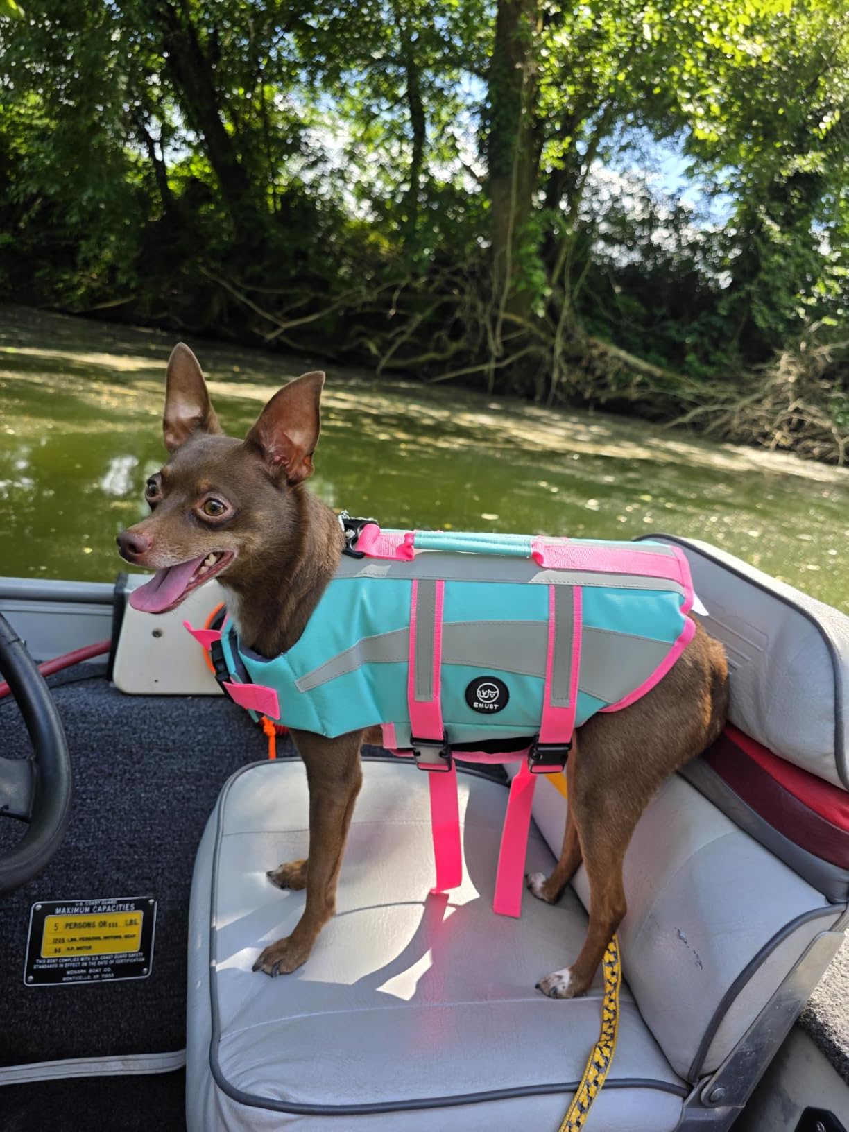 EMUST Dog Life Jacket, High Visibility Dog Life Vests with 2 Rescue Handles | Lightweight Medium Large Dog Vests Lifesaver with Leash Ring, Dog Floats for Pool, Kayaking, Swimming, Turquoise, XL customer photo 1