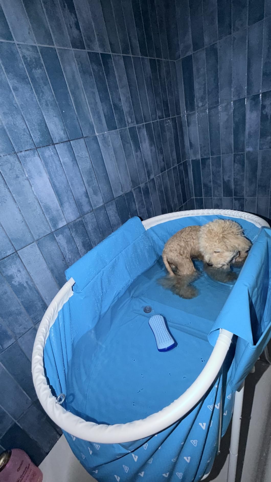 VEVOR Portable Dog Bathtub, Elevated & Foldable Space-saving Pet Shower Station with Quick Drainage, Bathing Tub for Washing & Grooming Small and Medium Size Dogs and Cats Indoor & Outdoor, Light Blue customer photo 1